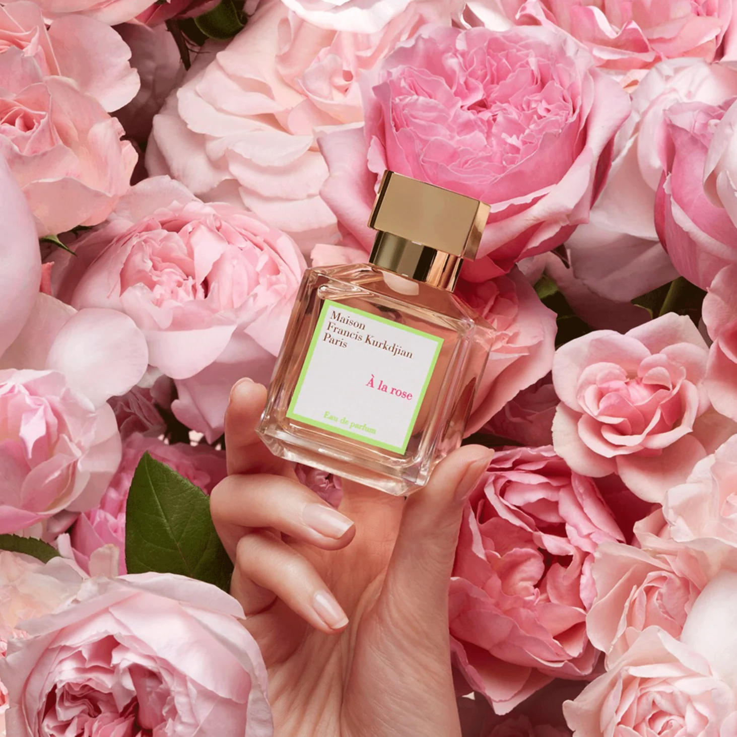 Maison Francis Kurkdjian A La Rose Scented Body Cream - Image 4