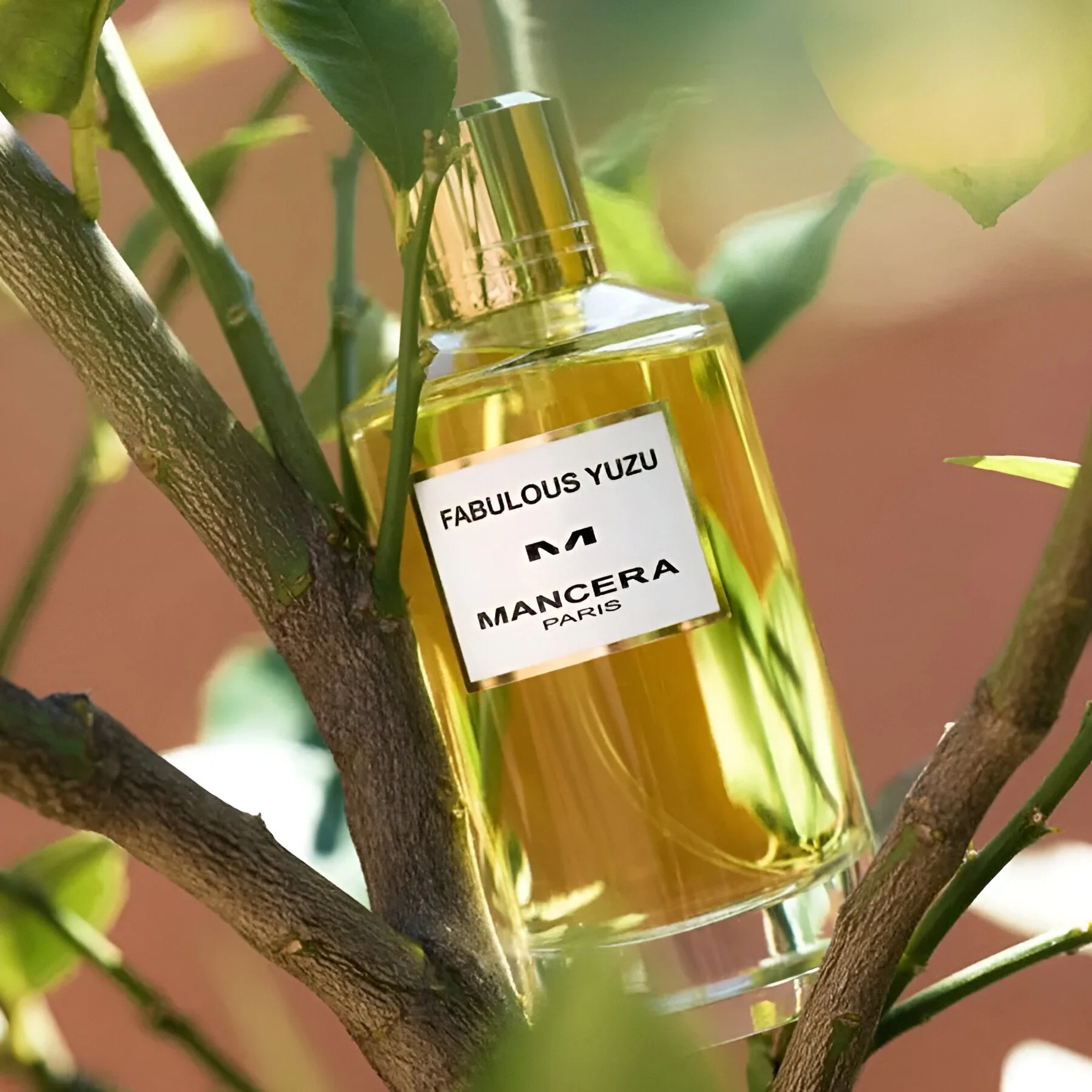 Mancera Fabulous Yuzu EDP - Image 4