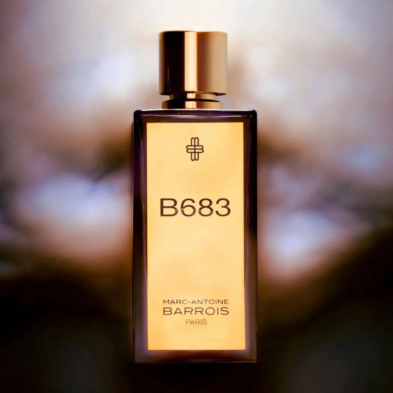 Marc Antoine Barrois B683 EDP For Men - Image 2
