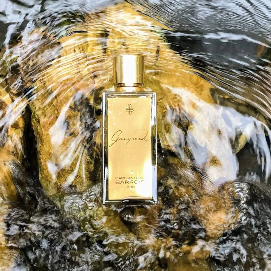 Marc Antoine Barrois Ganymede EDP - Image 2