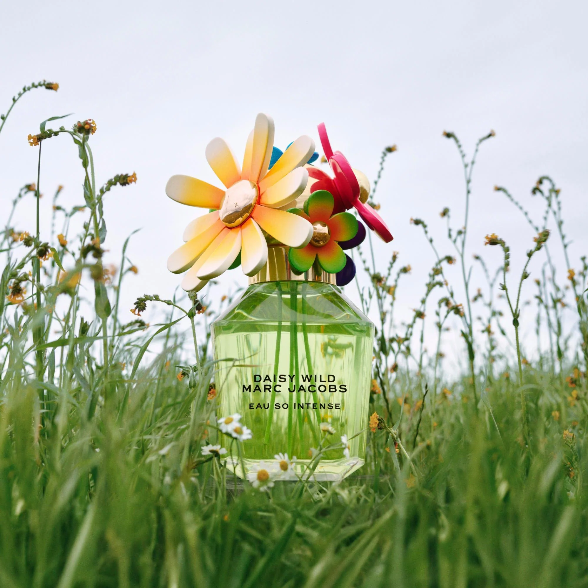 Marc Jacobs Daisy Wild Eau So Intense EDP For Women - Image 2