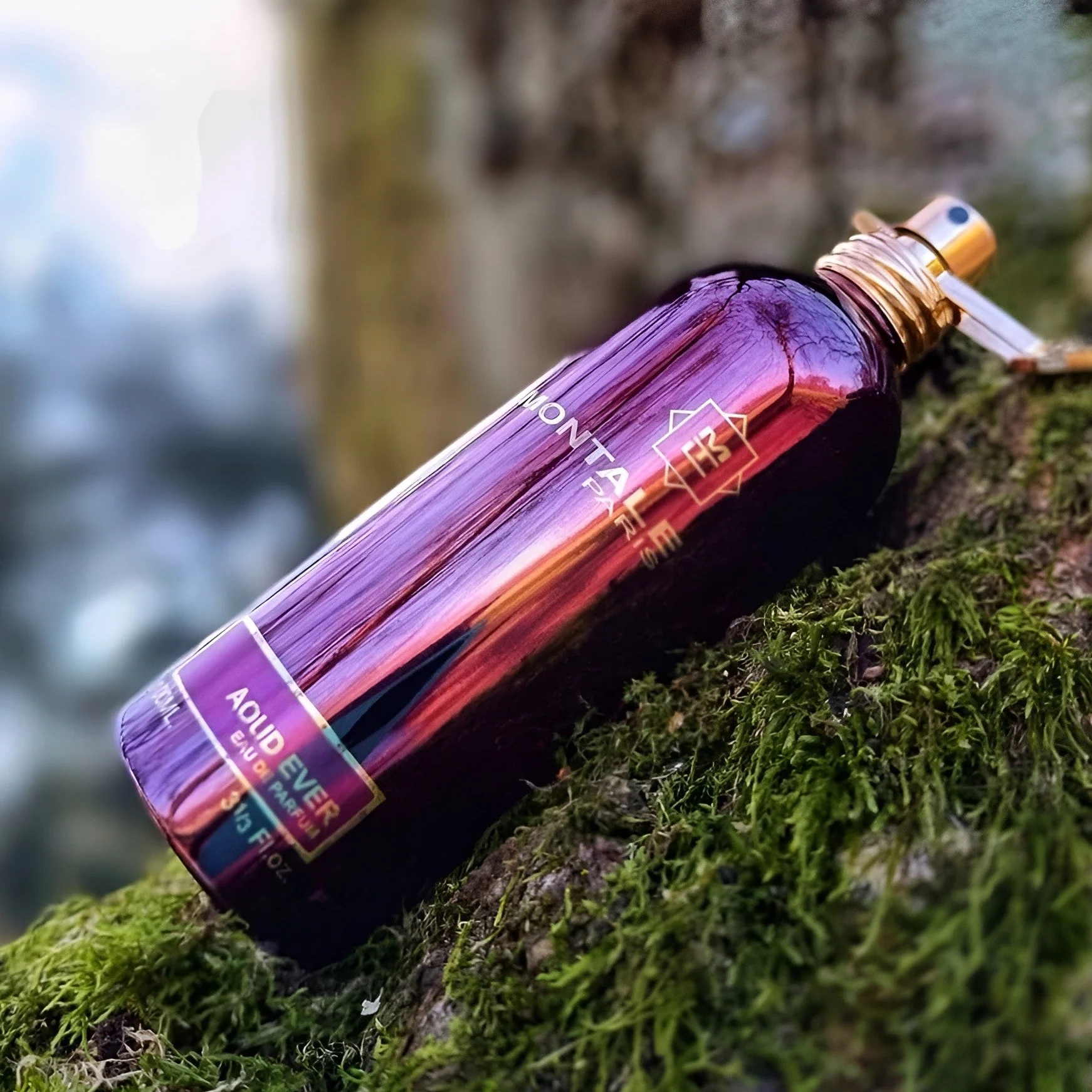 Montale Aoud Ever EDP - Image 2