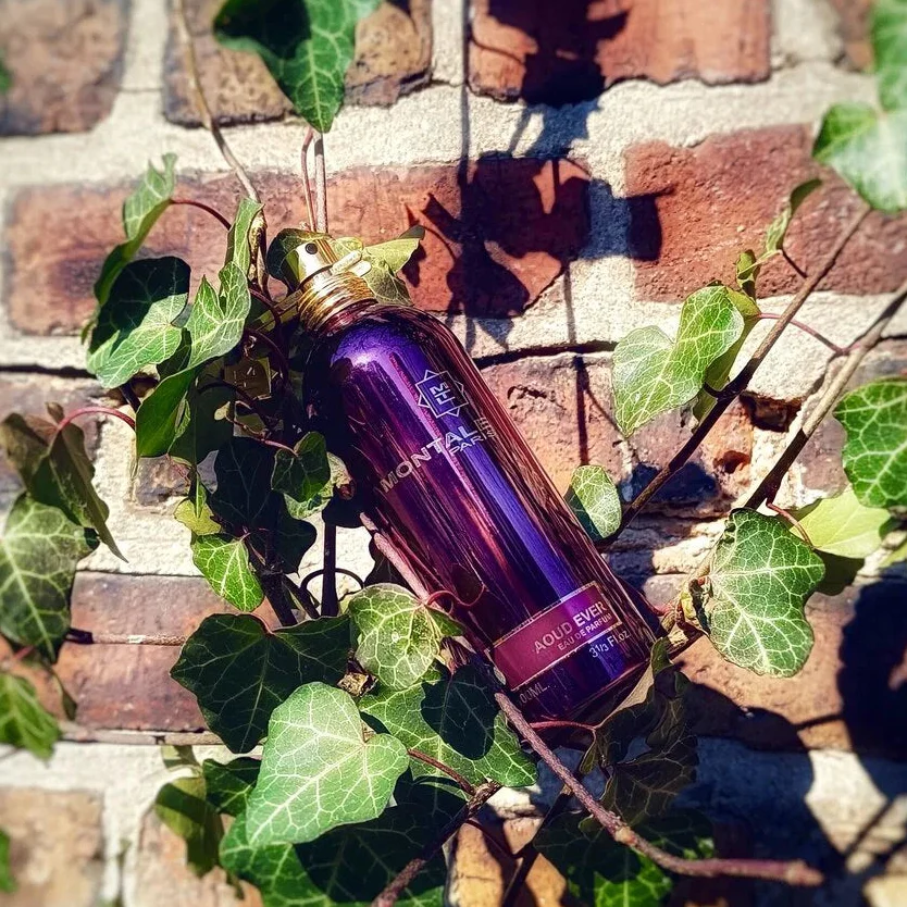 Montale Aoud Ever EDP - Image 3