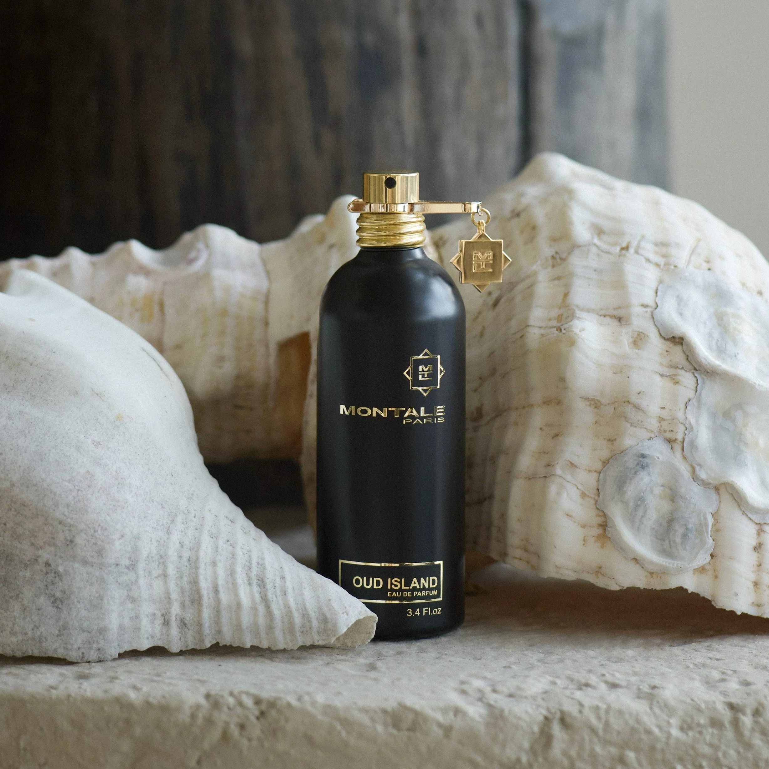 Montale Oud Island EDP - Image 3