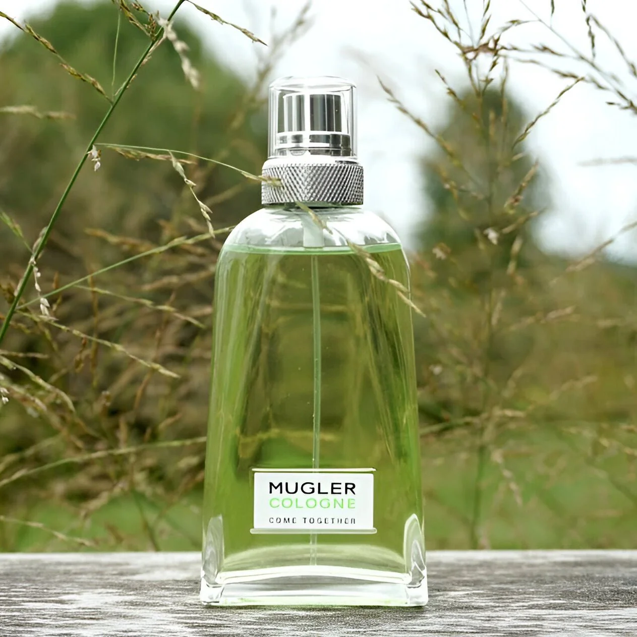 Mugler Cologne Come Together EDT - Image 3