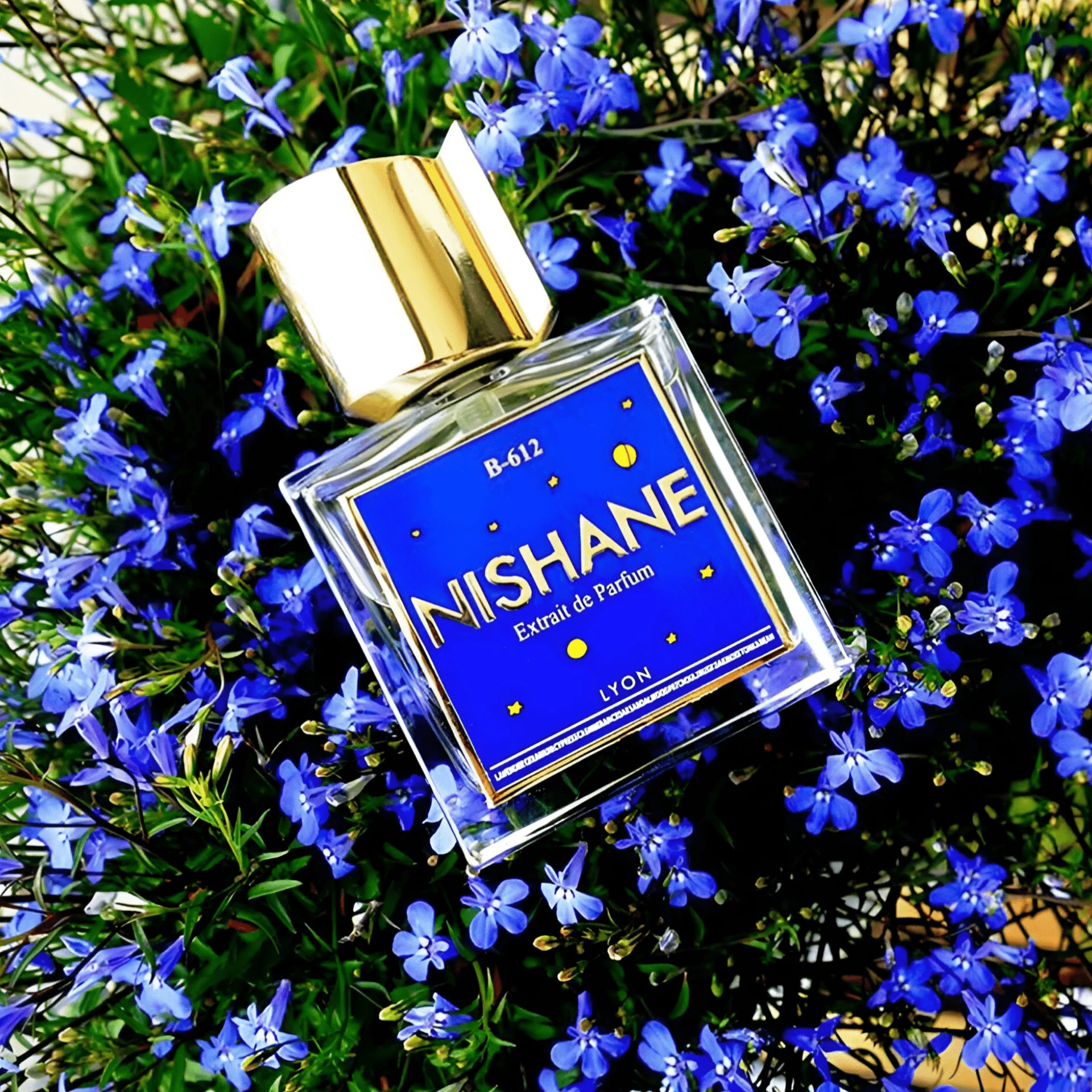 Nishane B-612 Extrait De Parfum - Image 3