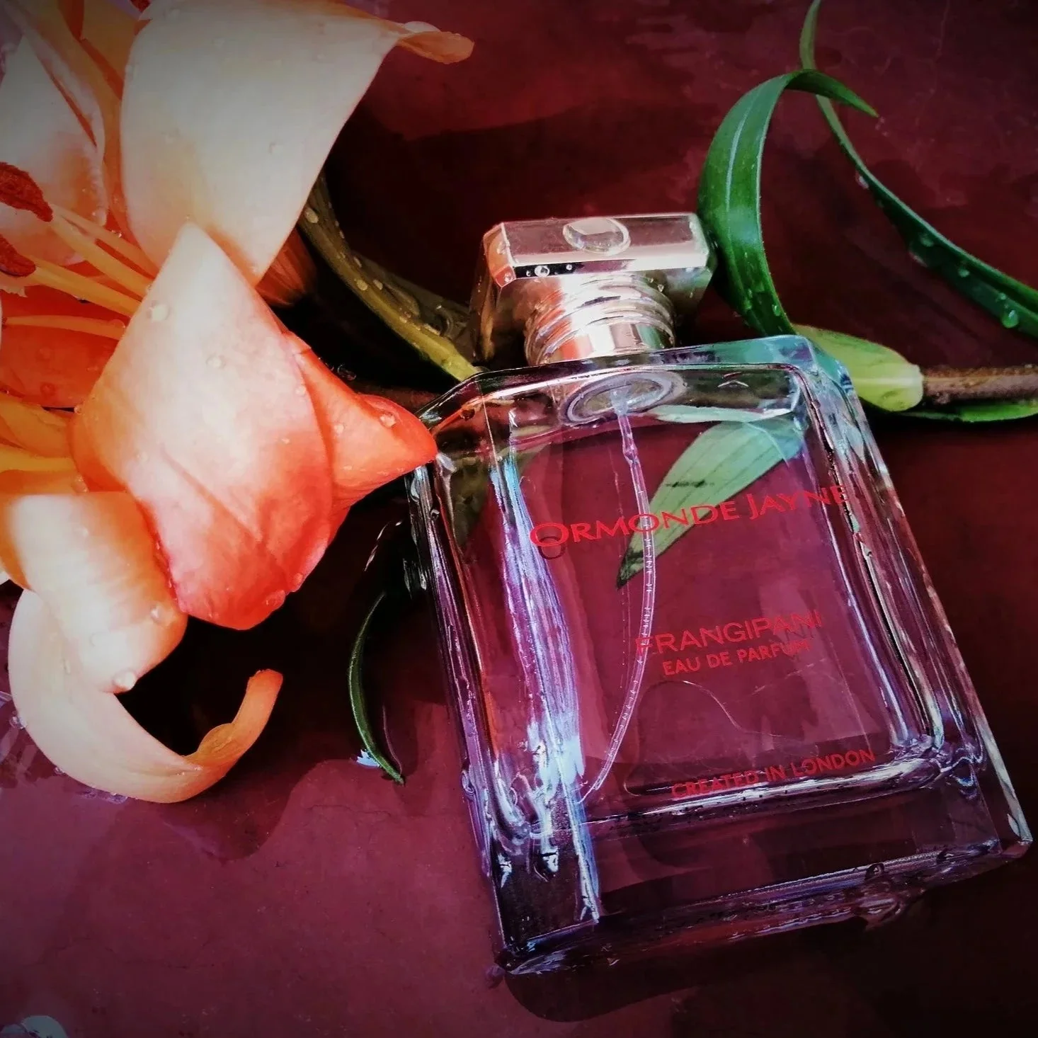 Ormonde Jayne Frangipani EDP - Image 3