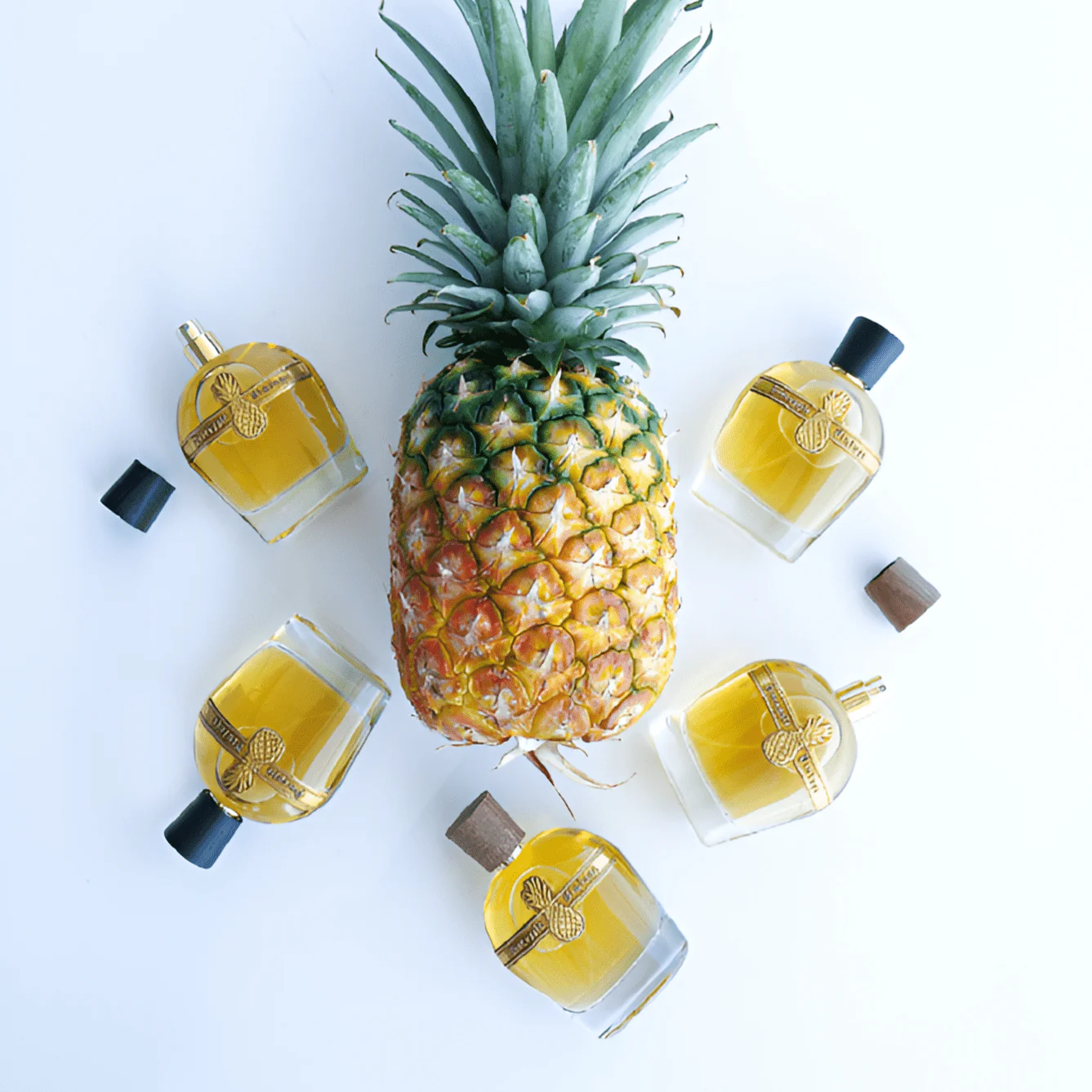 Parfums Vintage Pineapple Vintage Beyond Noir EDP - Image 2