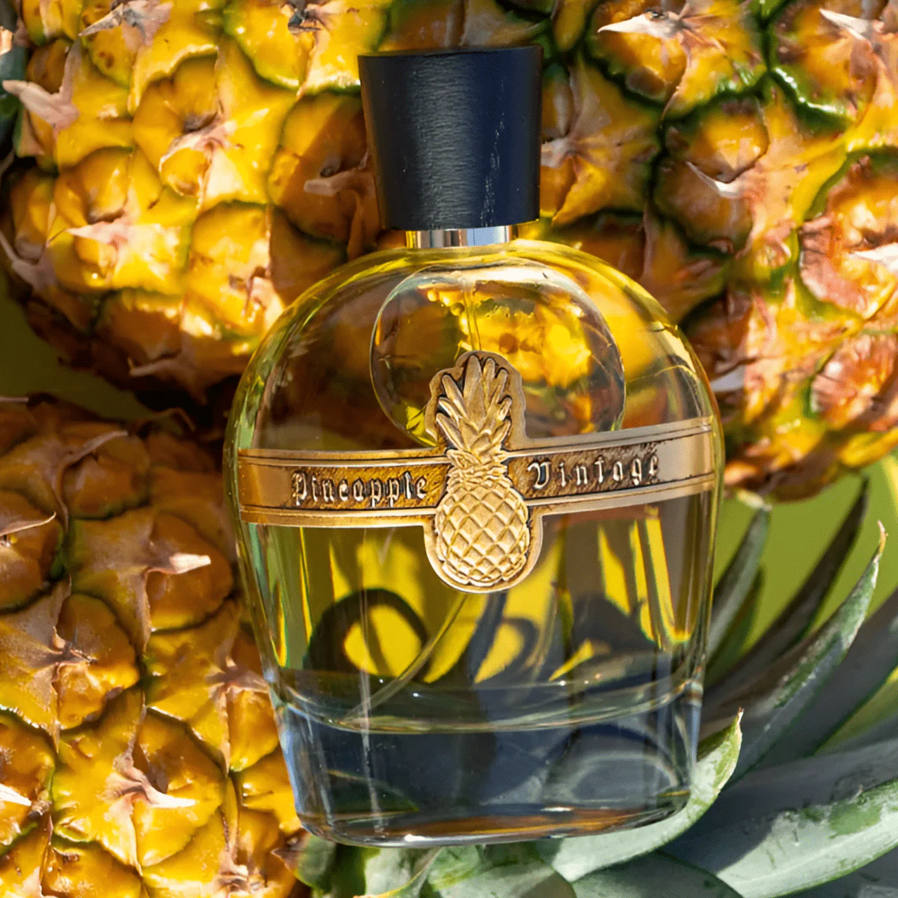 Parfums Vintage Pineapple Vintage Emperor Napoleon EDP - Image 3