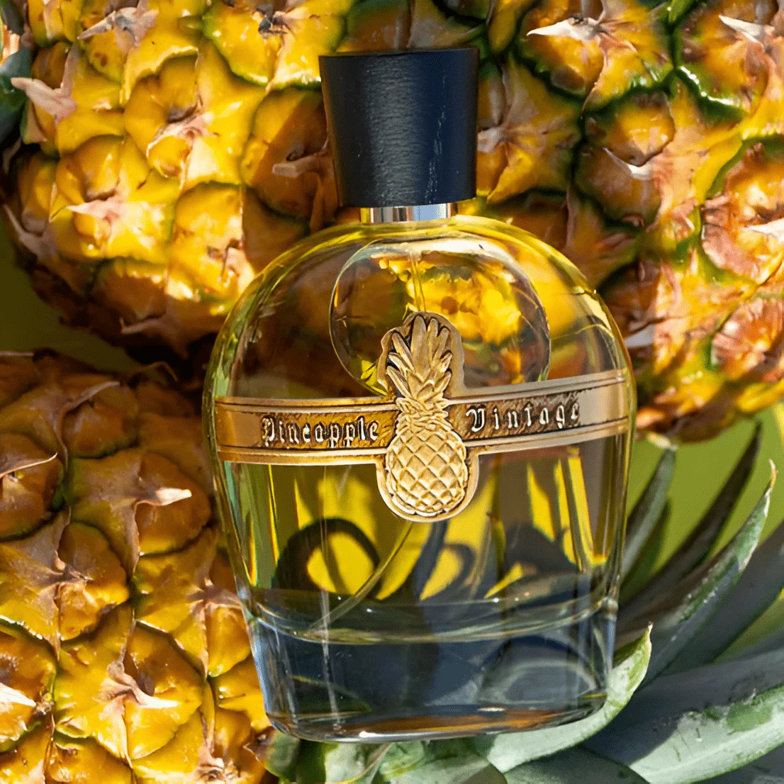 Pineapple Parfums Vintage EDP - Image 3