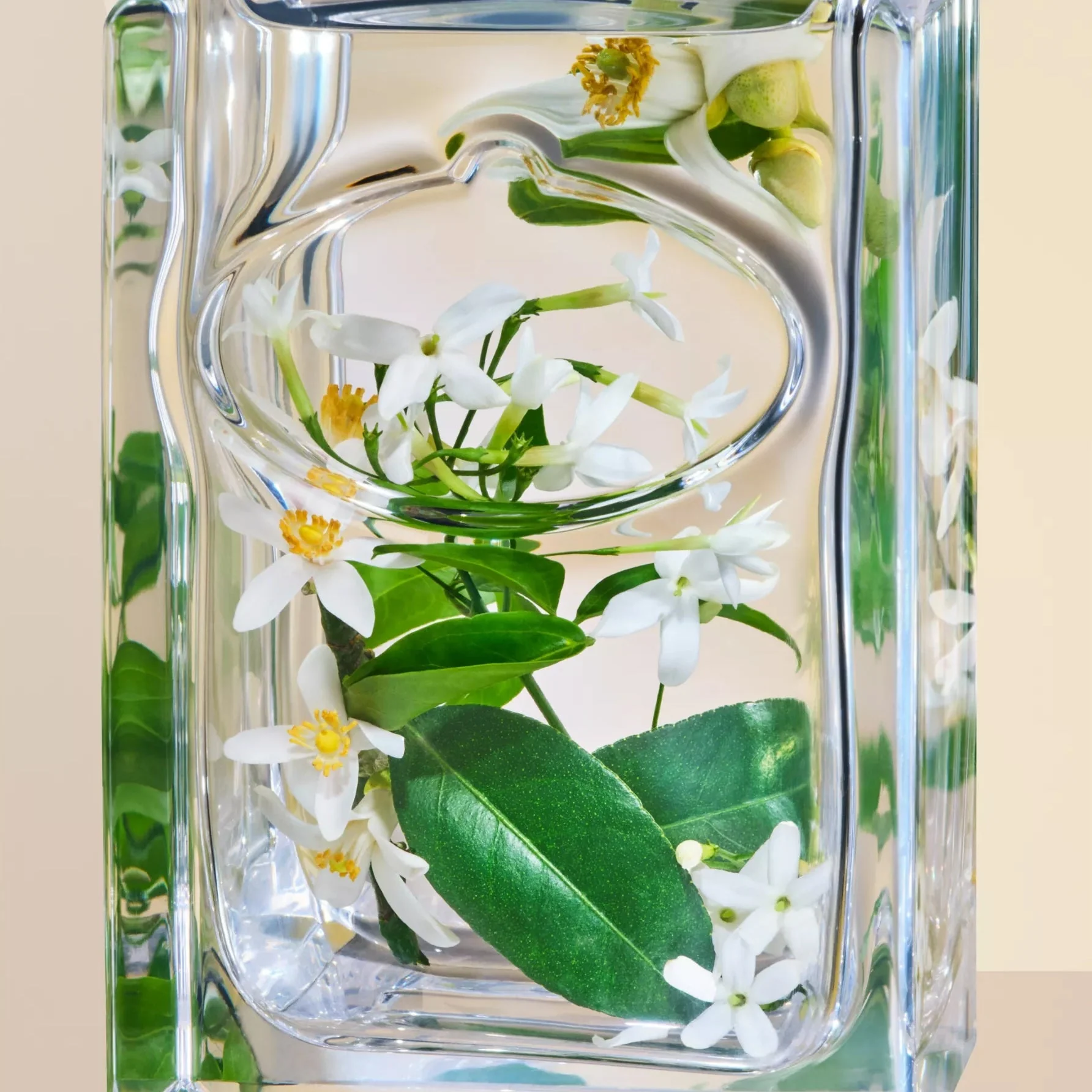 Prada Milano Les Infusions De Fleur D'Oranger EDP - Image 3