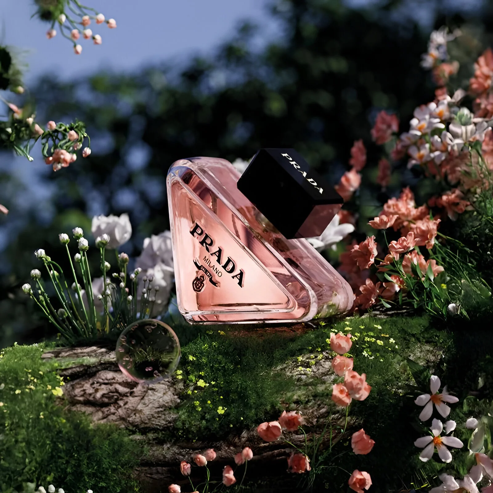 Prada Paradoxe EDP For Women - Image 3