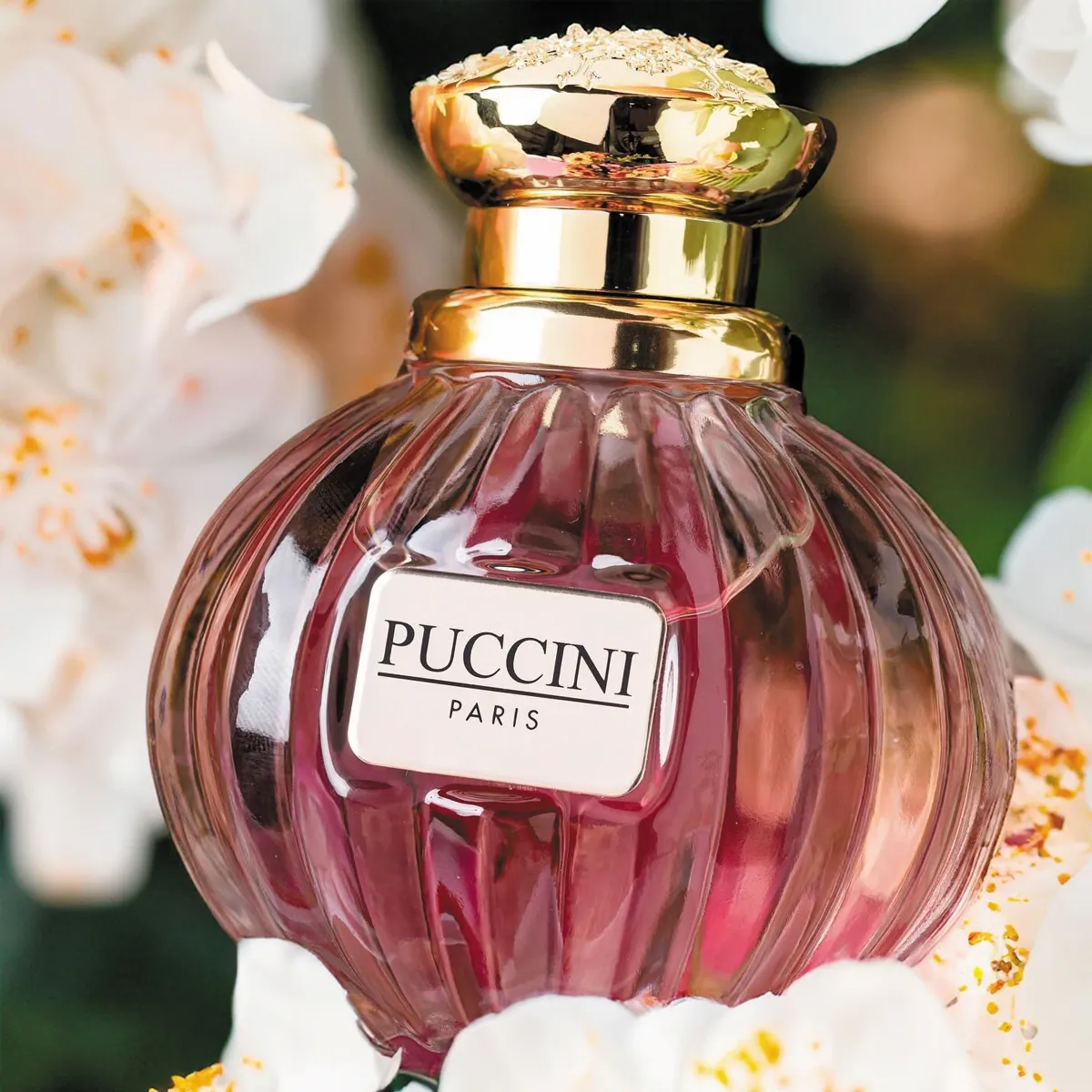 Puccini EDP For Women - Image 2