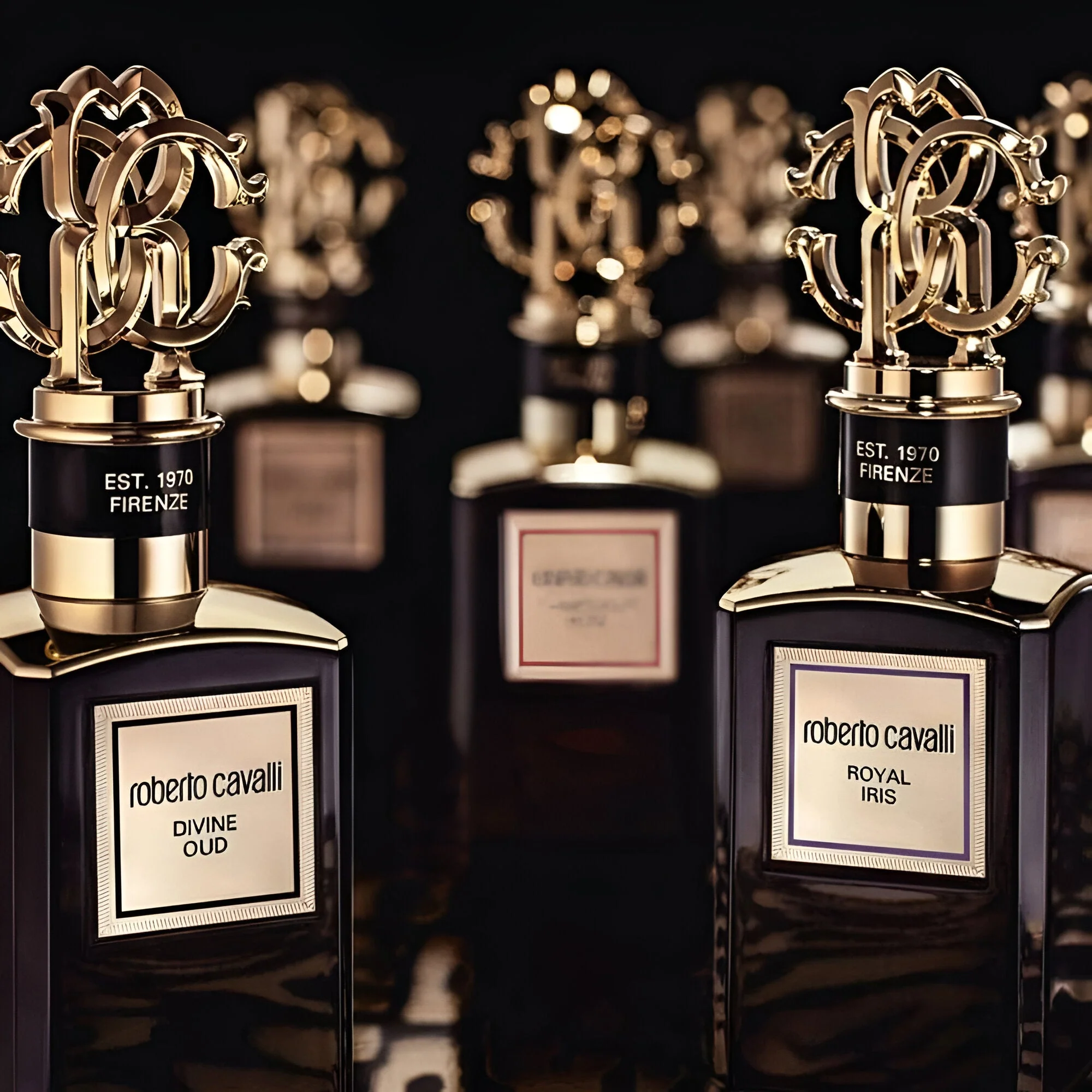 Roberto Cavalli Gold Collection Divine Oud EDP - Image 3