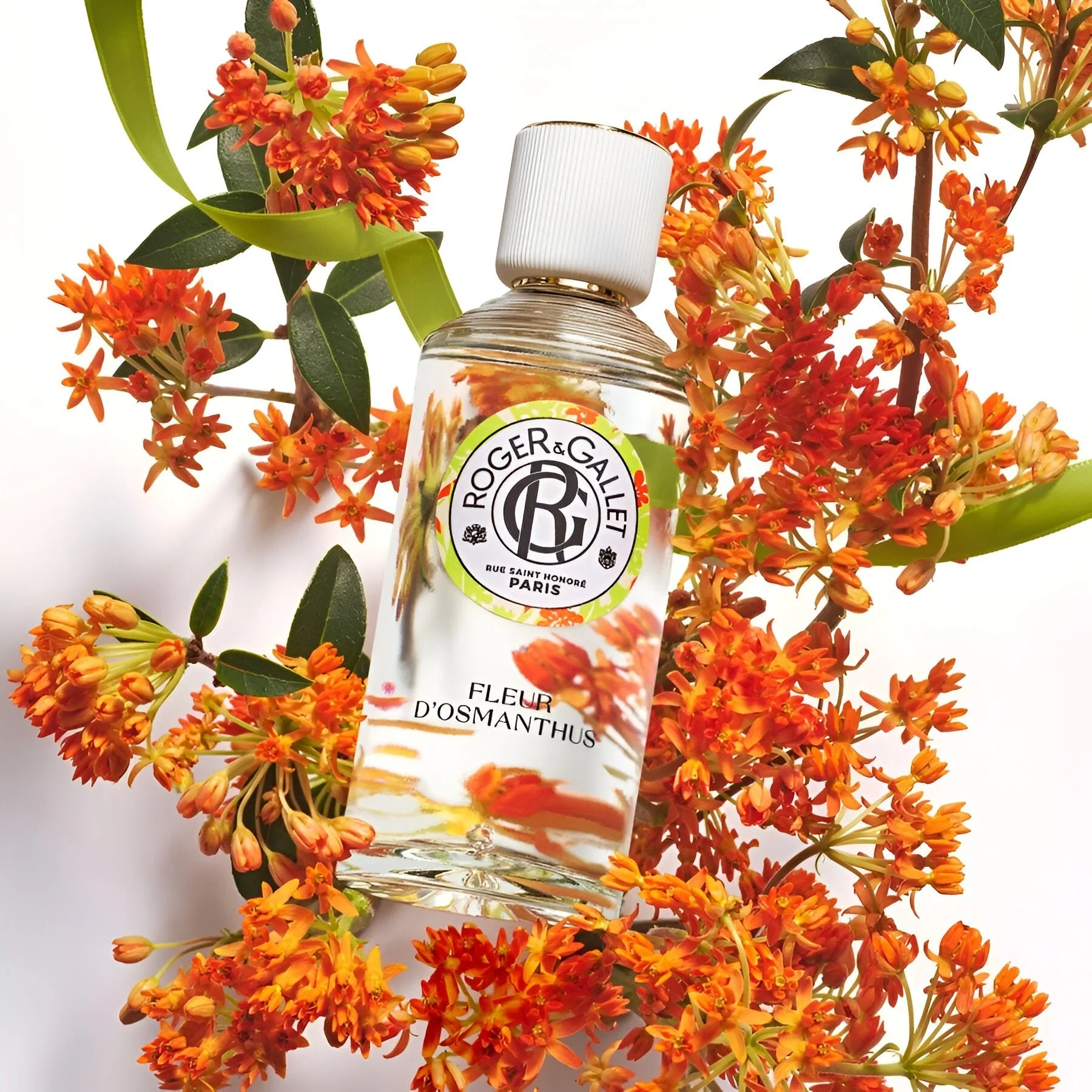 Roger & Gallet Fleur D'Osmanthus Eau Parfumee - Image 3