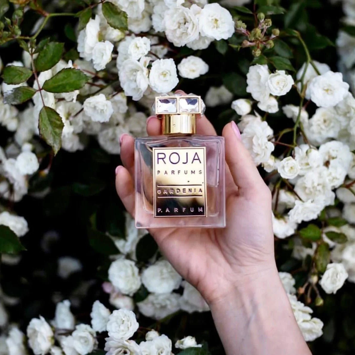 Roja Parfums Gardenia Pour Femme Parfum - Image 7