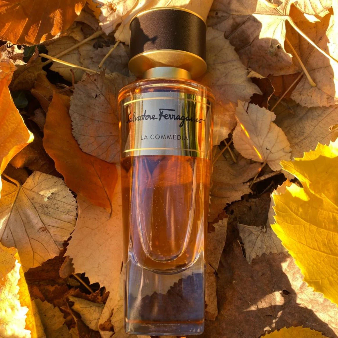 Salvatore Ferragamo La Commedia EDP - Image 2