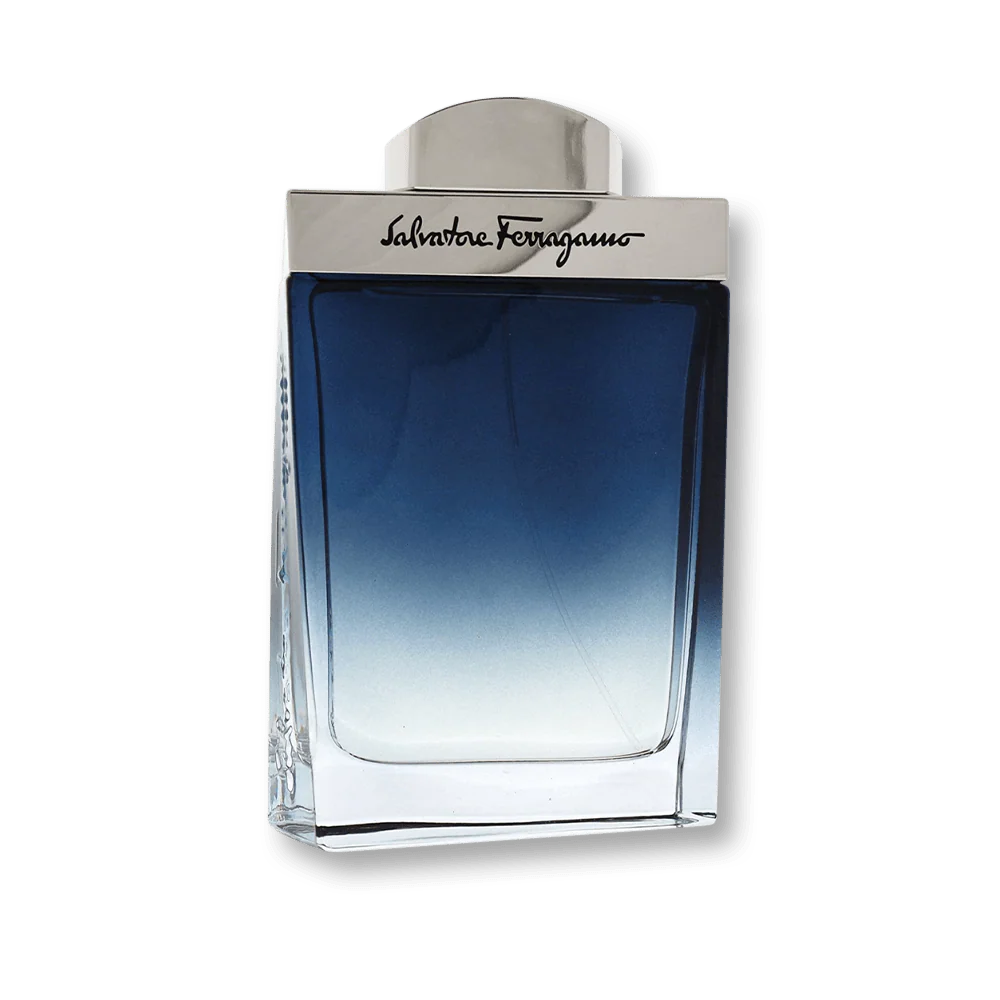 Salvatore Ferragamo Subtil Pour Homme EDT
