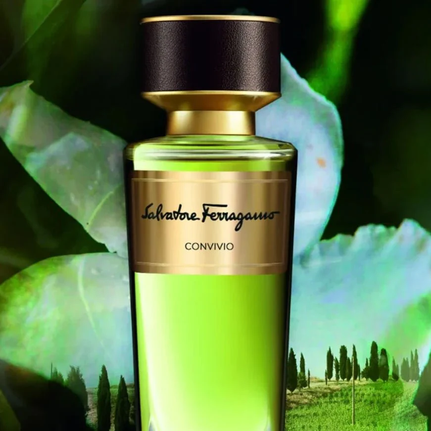 Salvatore Ferragamo Tuscan Creation Convivio Body Lotion - Image 3