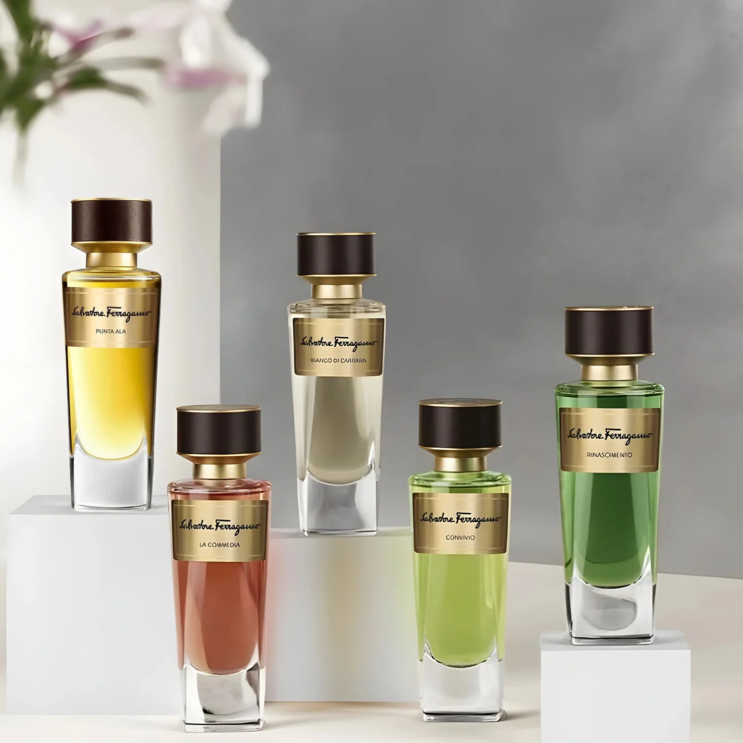 Salvatore Ferragamo Tuscan Creations Punta Ala EDP - Image 4