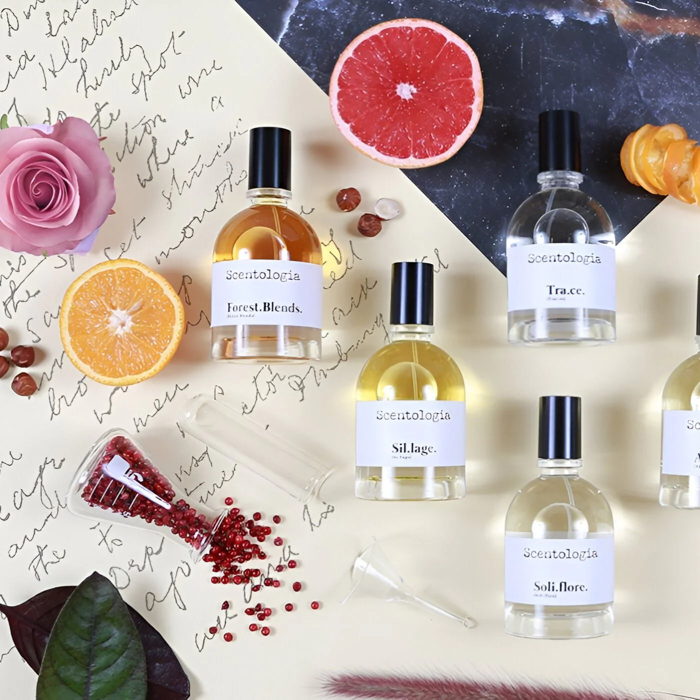 Scentologia Forest.Blends EDP - Image 3