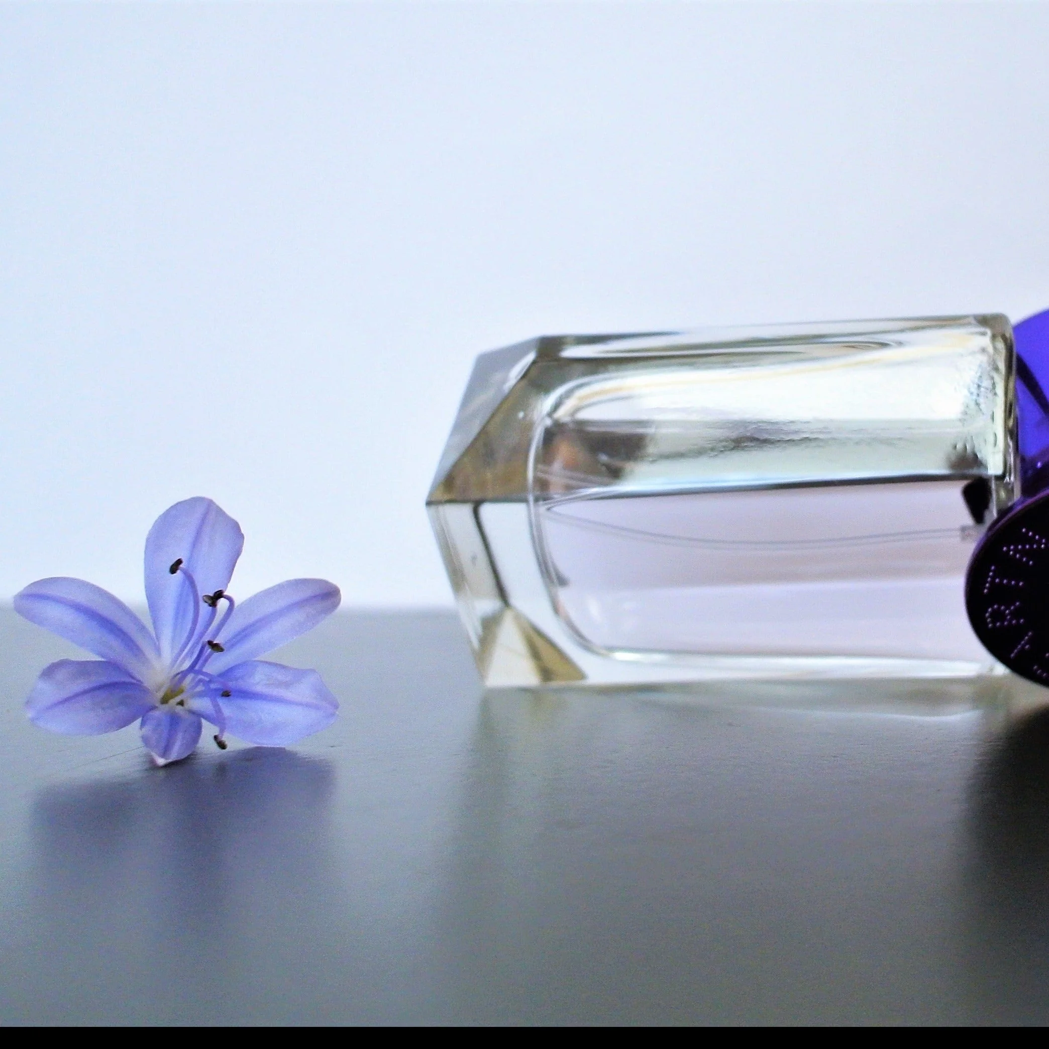 Stella Mccartney Pop Bluebell EDP - Image 2