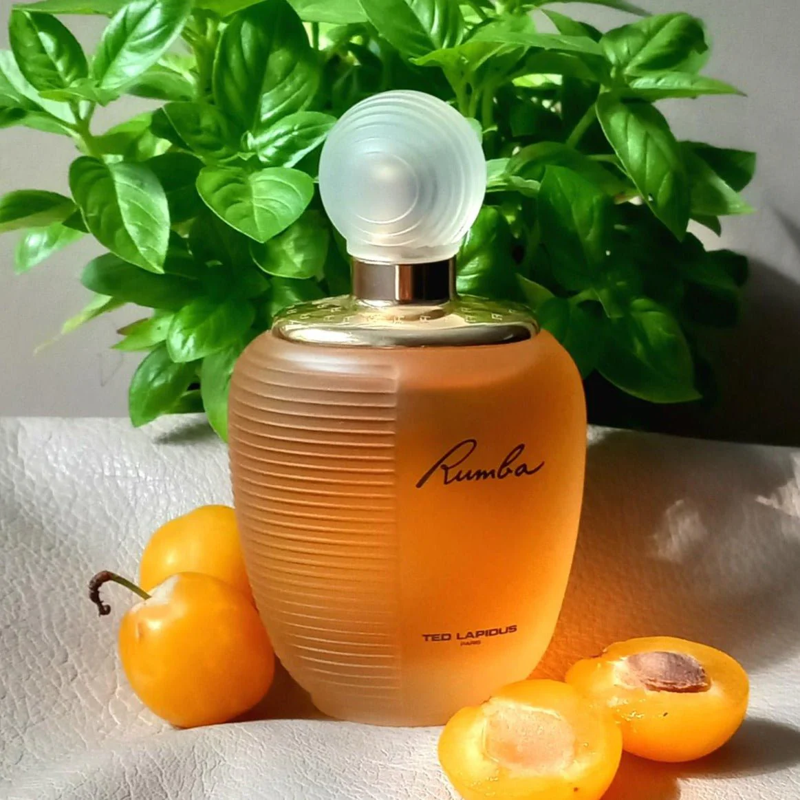 Ted Lapidus Rumba EDT - Image 2