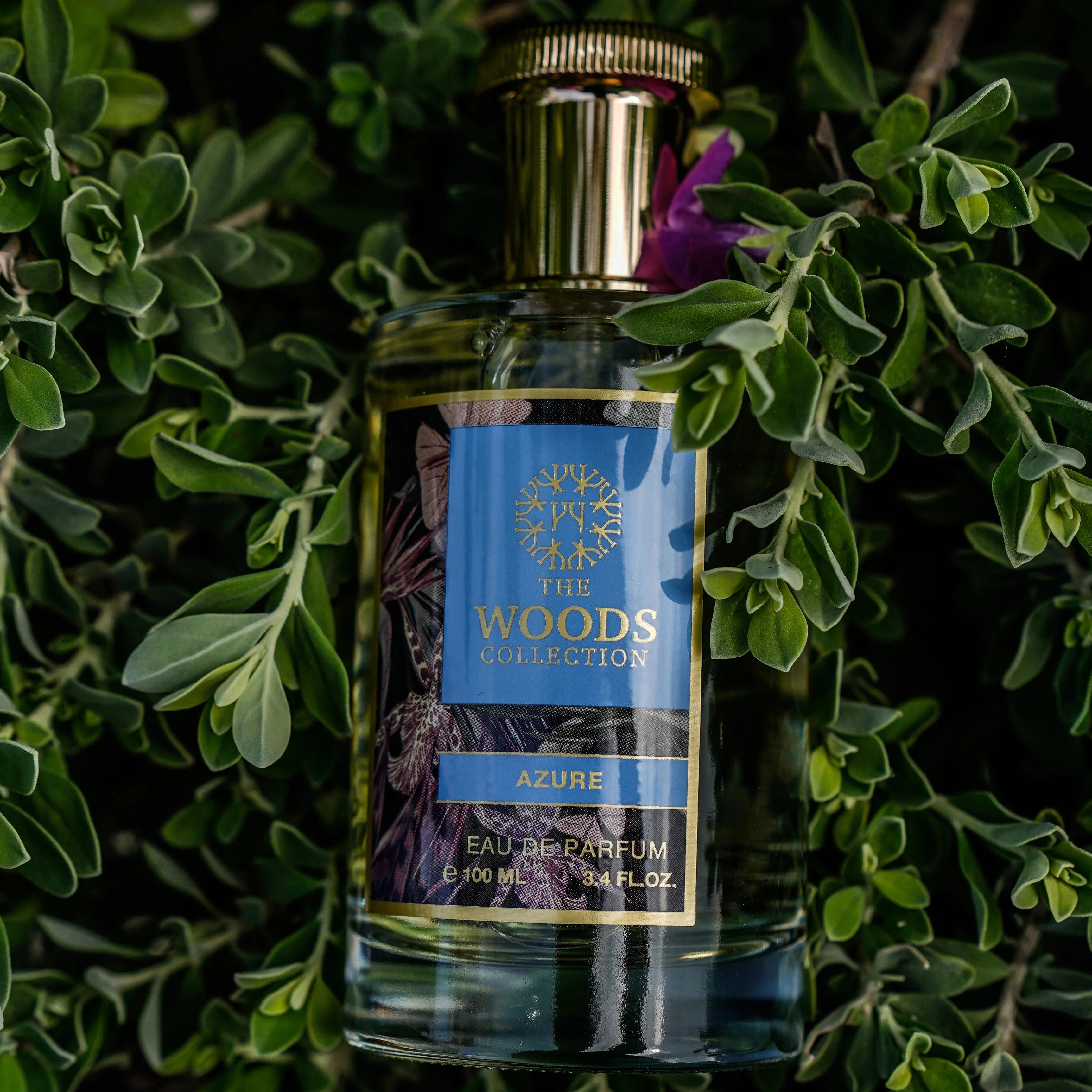 The Woods Collection Azure EDP - Image 2