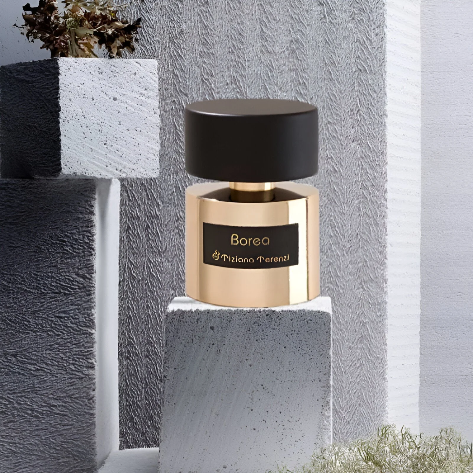 Tiziana Terenzi Borea Extrait De Parfum - Image 2