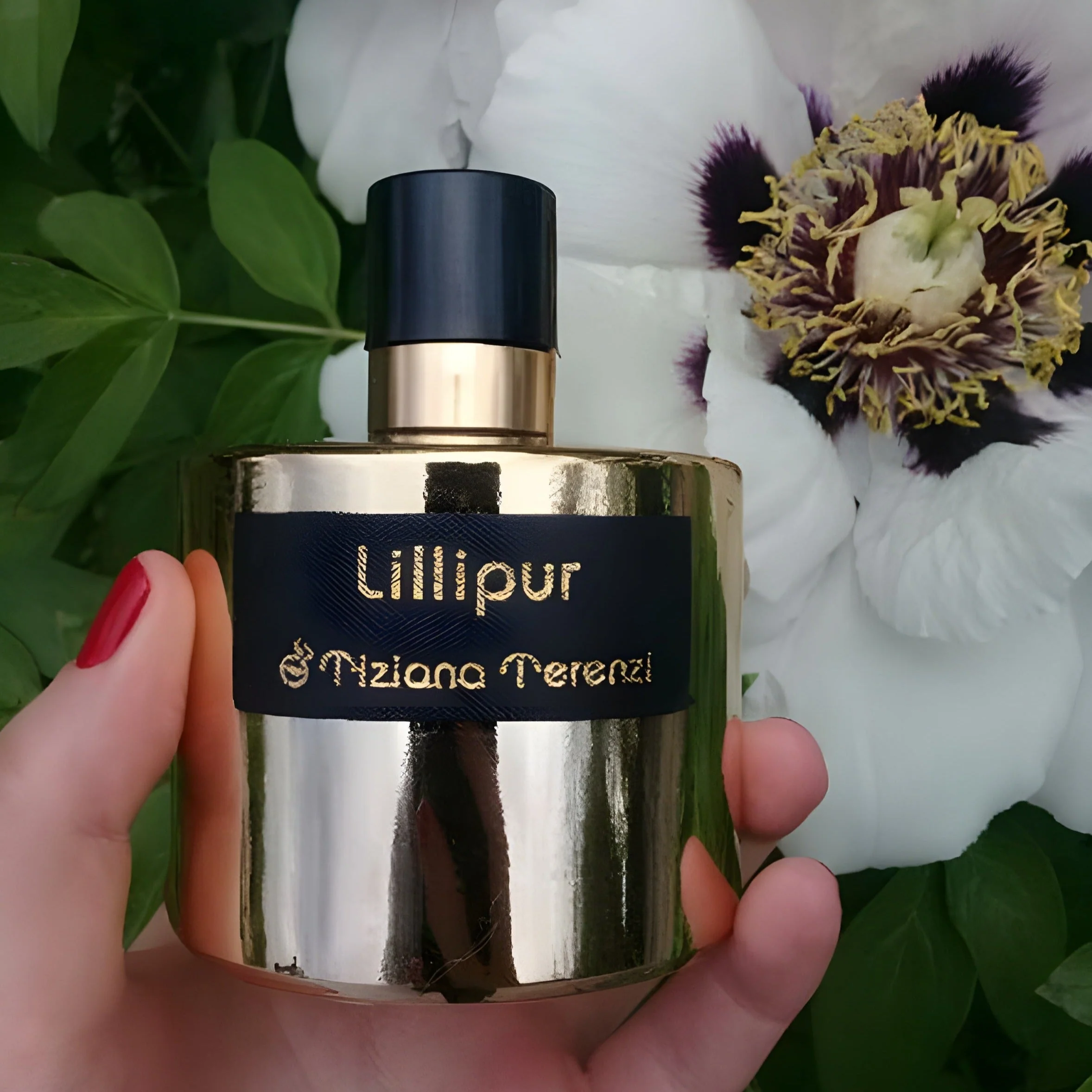 Tiziana Terenzi Lillipur Extrait De Parfum - Image 2