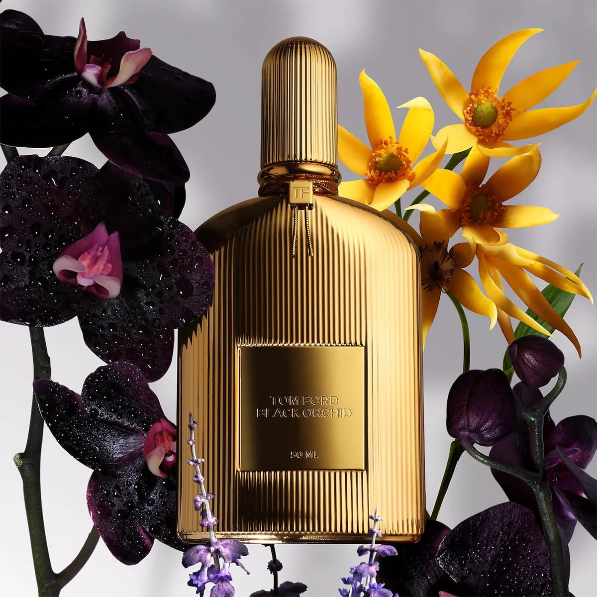 TOM FORD Black Orchid Parfum - Image 6