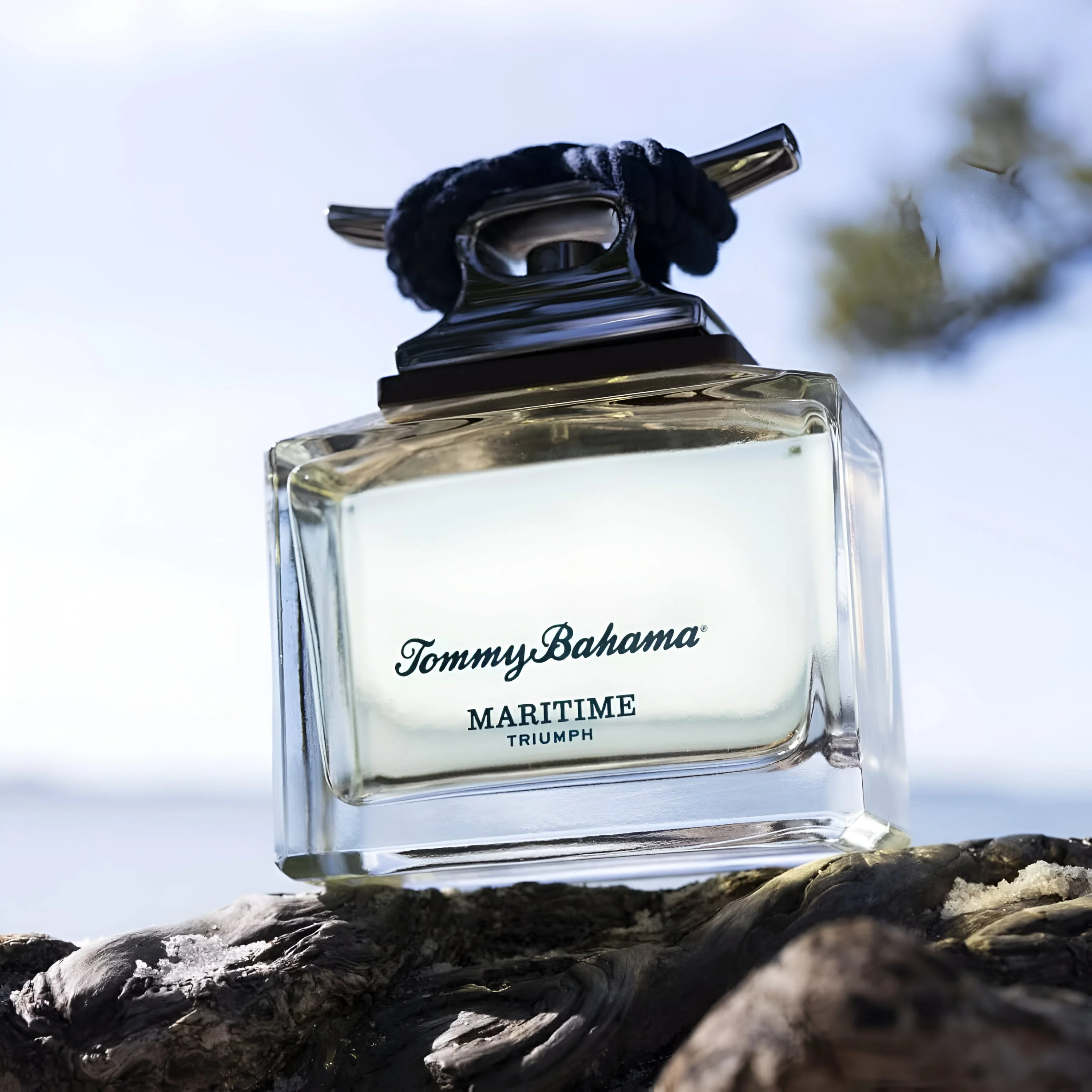 Tommy Bahama Maritime Triumph EDC - Image 2