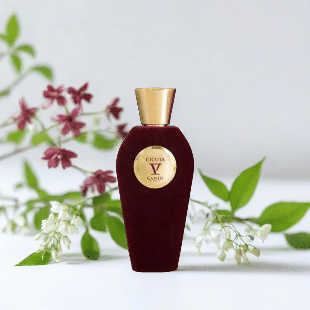V Canto Cicuta Extrait De Parfum - Image 2