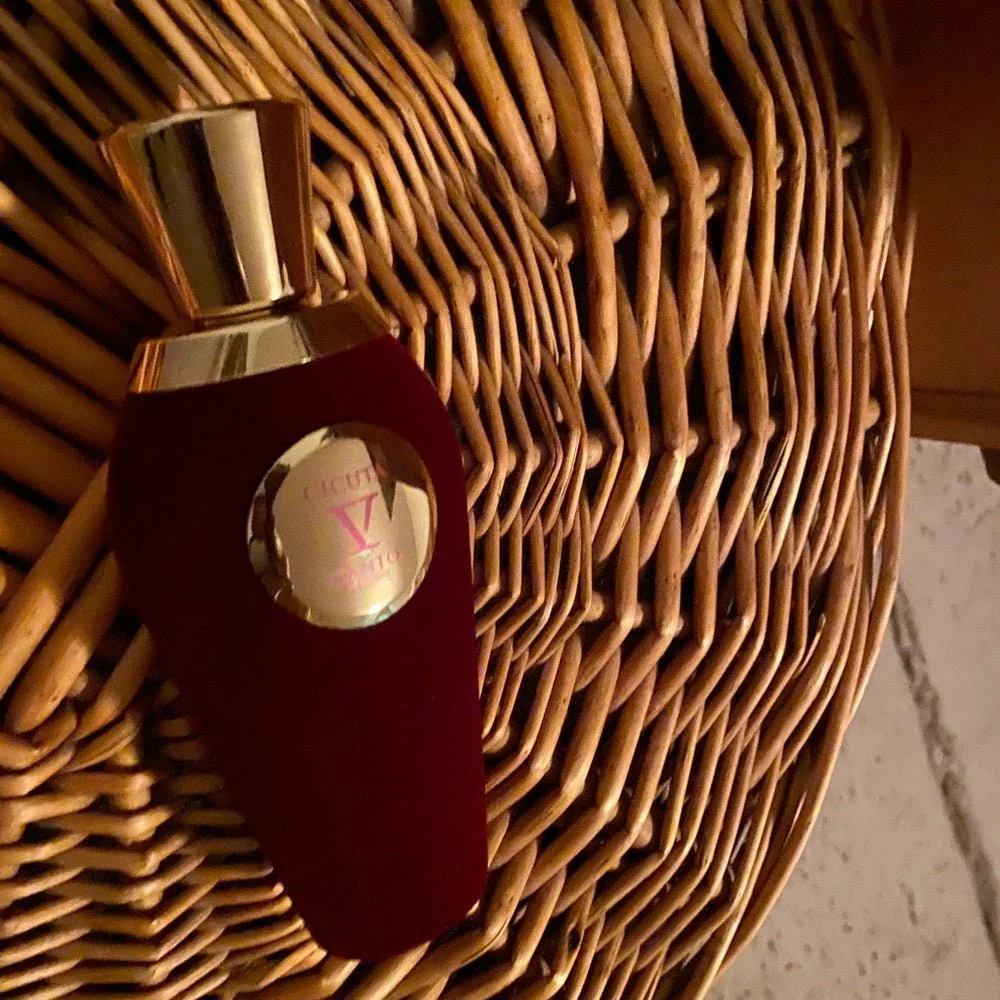 V Canto Cicuta Extrait De Parfum - Image 3