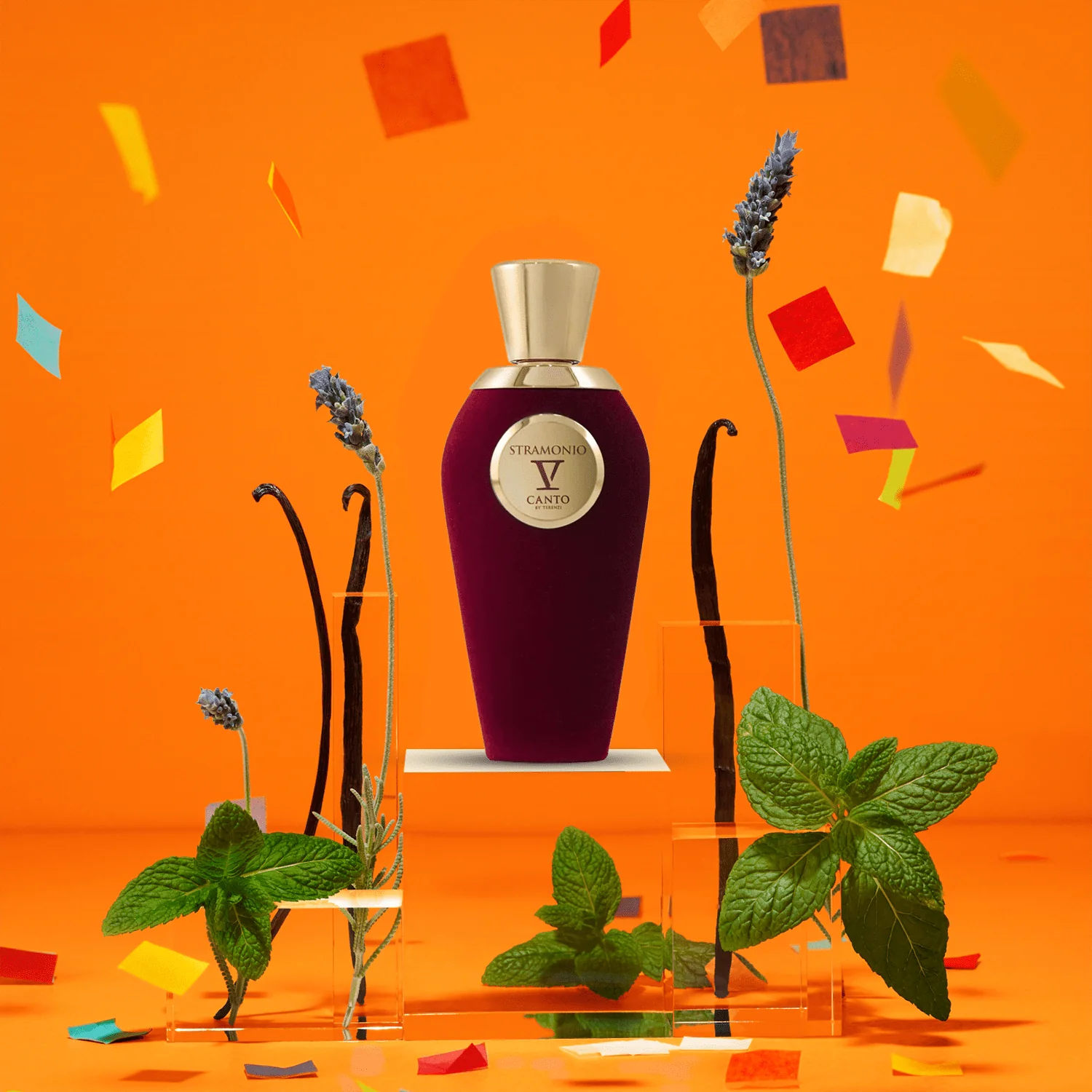 V Canto Stramonio Extrait De Parfum - Image 3