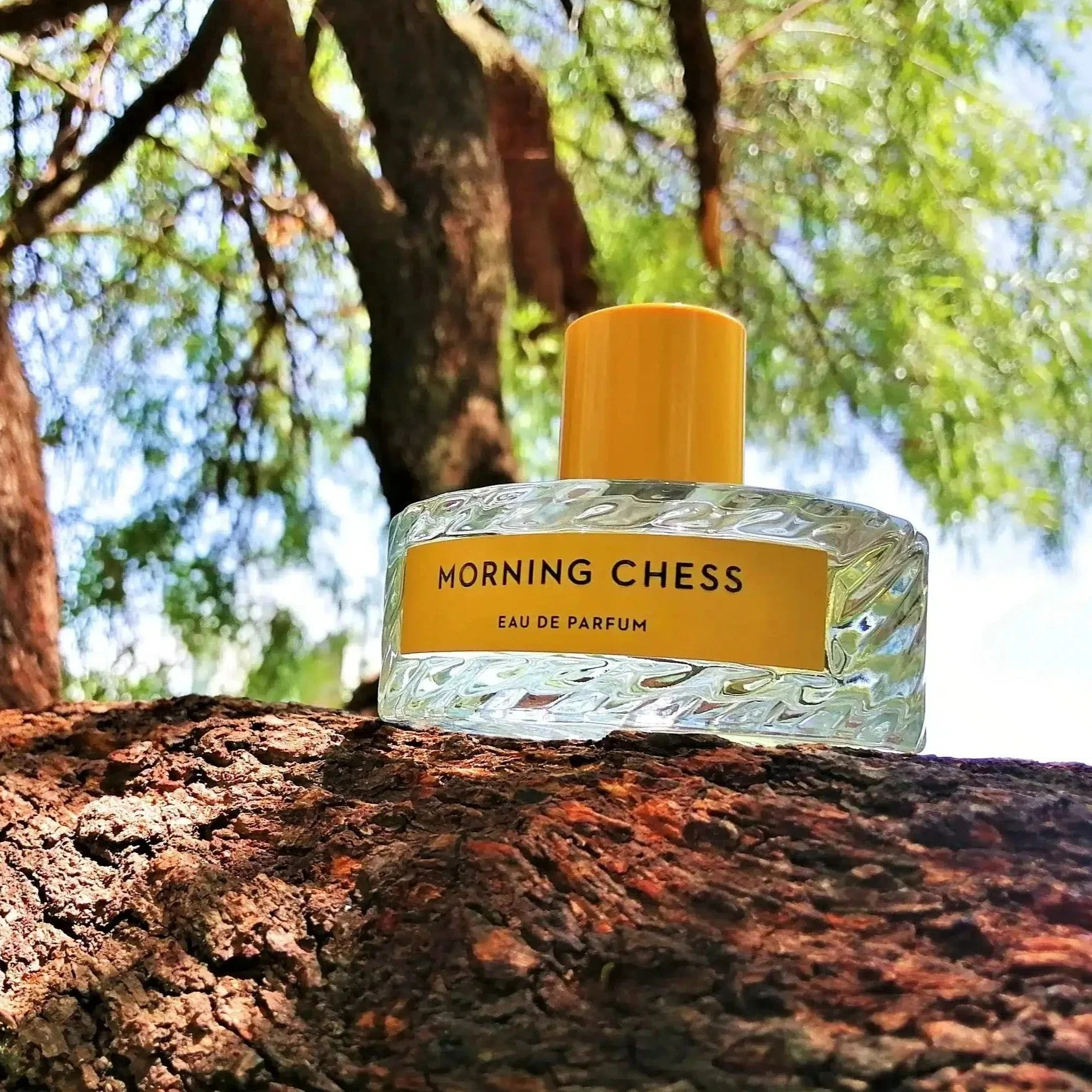 Vilhelm Parfumerie Morning Chess EDP - Image 2