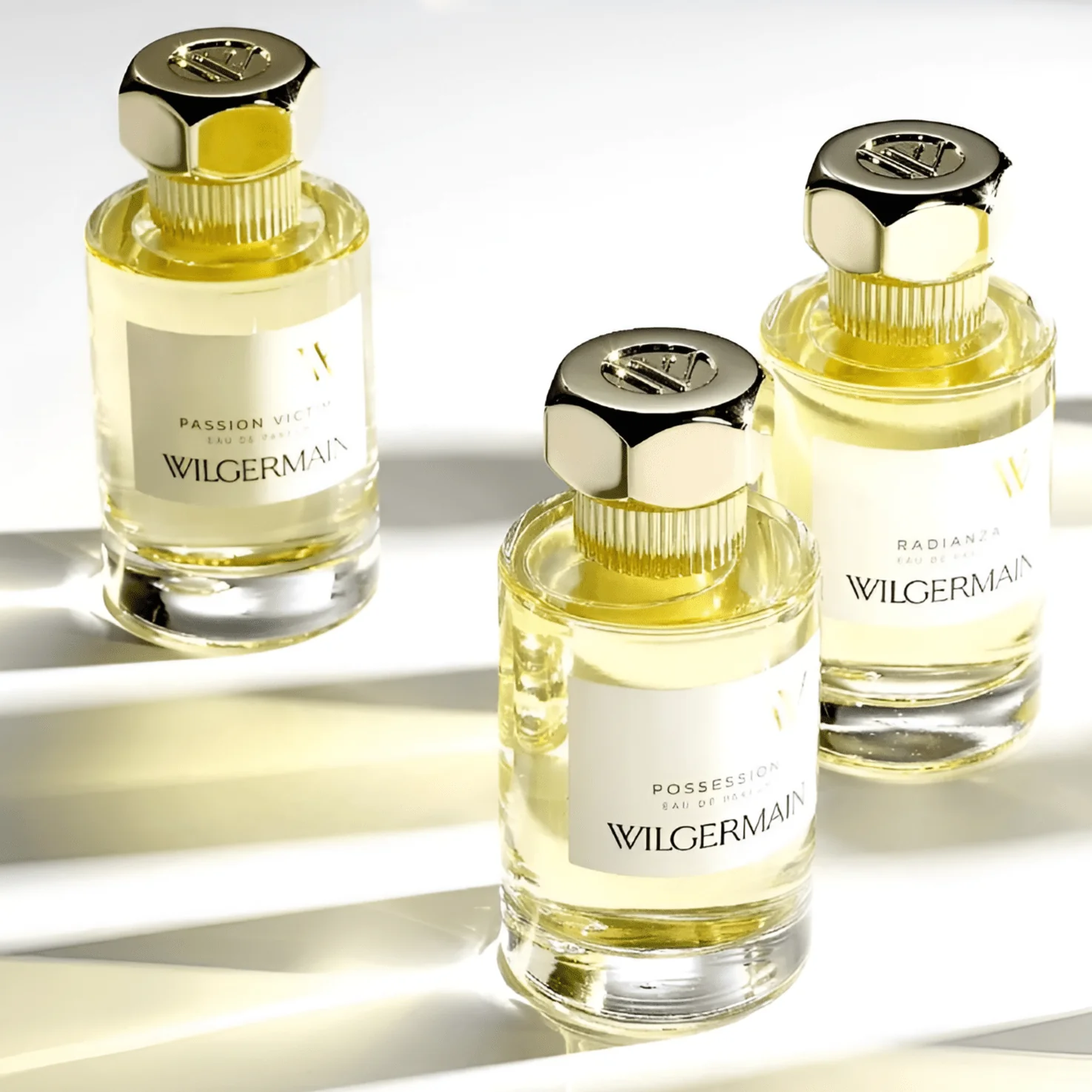 Wilgermain Possession EDP - Image 4