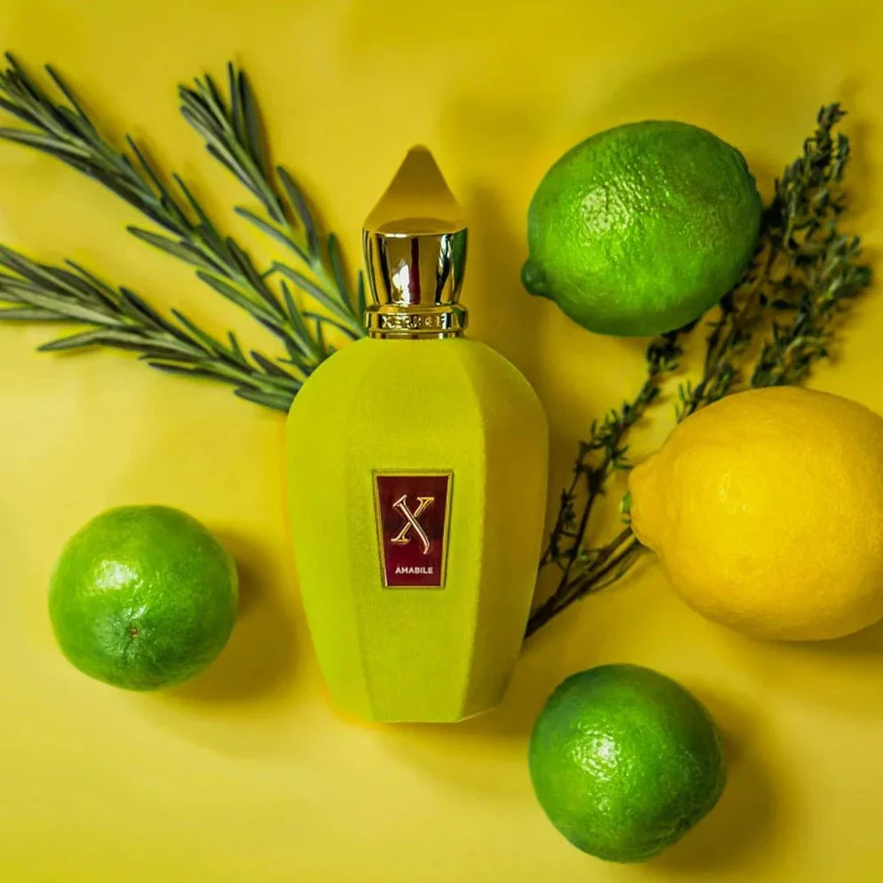 Xerjoff Amabile EDP - Image 4